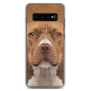 Samsung Galaxy S10+ Staffordshire Bull Terrier Dog Samsung Case by Design Express