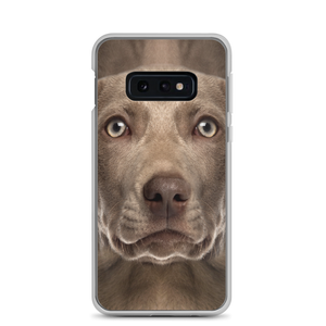Samsung Galaxy S10e Weimaraner Dog Samsung Case by Design Express