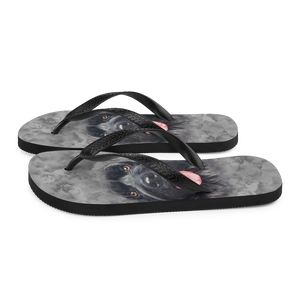 Gos D'atura Dog Flip-Flops by Design Express