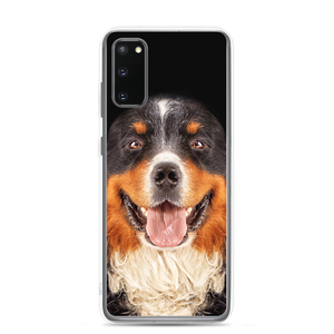 Samsung Galaxy S20 Bernese Mountain Dog Samsung Case by Design Express