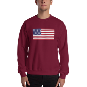 Maroon / S United States Flag "Solo" Sweatshirt by Design Express