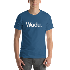 Steel Blue / S Wodu Media "Everything" Unisex T-Shirt by Design Express