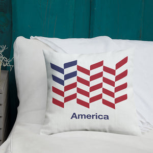 America "Barley" Square Premium Pillow by Design Express