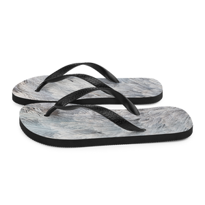 Ostrich Feathers Flip-Flops by Design Express