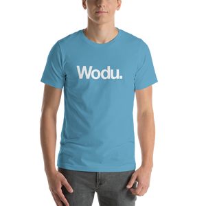 Ocean Blue / S Wodu Media "Everything" Unisex T-Shirt by Design Express
