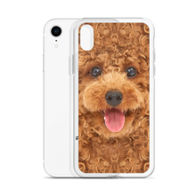 Poodle Dog iPhone Case by Design Express