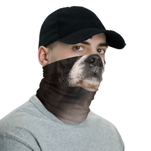Boston Terrier Dog Neck Gaiter Masks by Design Express