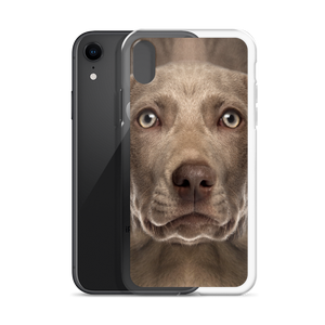 Weimaraner Dog iPhone Case by Design Express