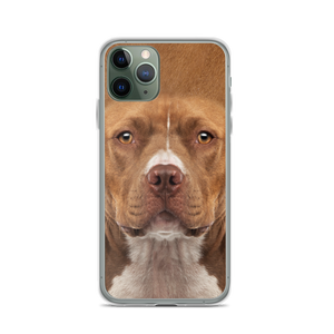 iPhone 11 Pro Staffordshire Bull Terrier Dog iPhone Case by Design Express