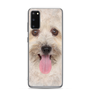 Samsung Galaxy S20 Bichon Havanese Dog Samsung Case by Design Express