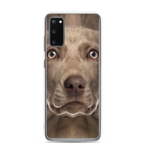 Samsung Galaxy S20 Weimaraner Dog Samsung Case by Design Express