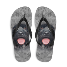 Gos D'atura Dog Flip-Flops by Design Express