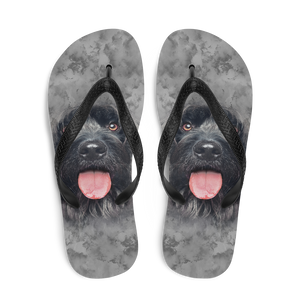 Gos D'atura Dog Flip-Flops by Design Express