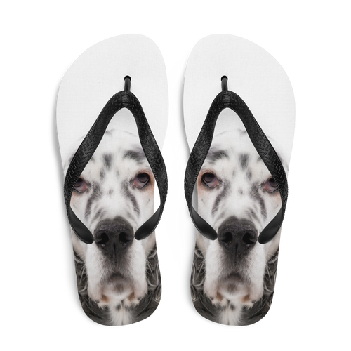 English Setter Dog Flip-Flops by Design Express