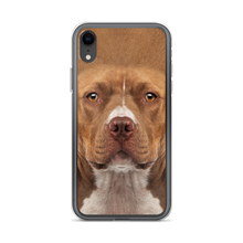 iPhone XR Staffordshire Bull Terrier Dog iPhone Case by Design Express