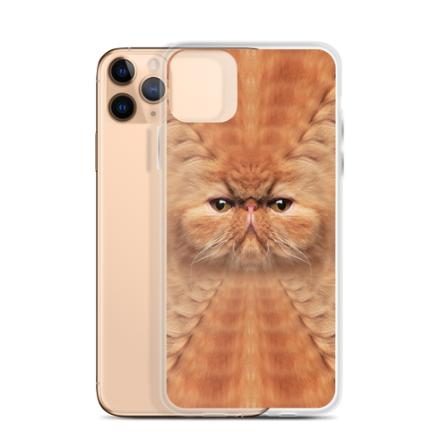 Persian Cat iPhone Case by Design Express