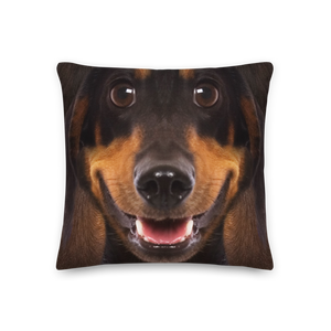 18×18 Dachshund Dog Premium Pillow by Design Express