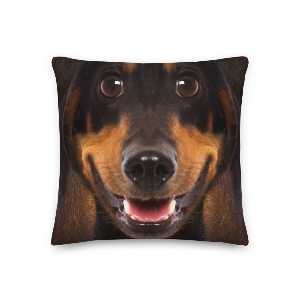 18×18 Dachshund Dog Premium Pillow by Design Express