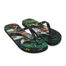 Big Family Flip-Flops by Design Express