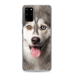 Samsung Galaxy S20 Plus Husky Dog Samsung Case by Design Express