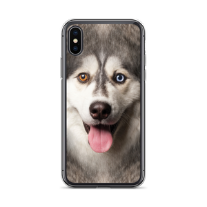iPhone X/XS Husky Dog iPhone Case by Design Express