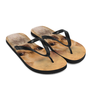 Chihuahua Dog Flip-Flops by Design Express