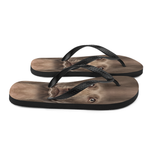 Weimaraner Dog Flip-Flops by Design Express