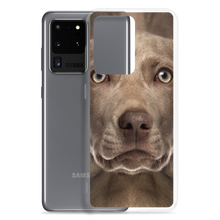 Weimaraner Dog Samsung Case by Design Express