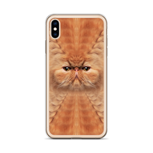 Persian Cat iPhone Case by Design Express