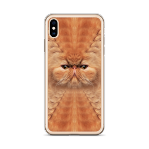 Persian Cat iPhone Case by Design Express