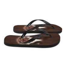 English Springer Spaniel Dog Flip-Flops by Design Express