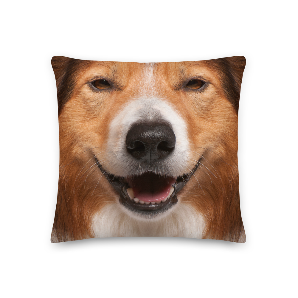 18×18 Border Collie Dog Premium Pillow by Design Express