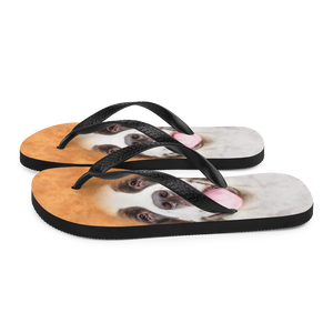 Saint Bernard Dog Flip-Flops by Design Express