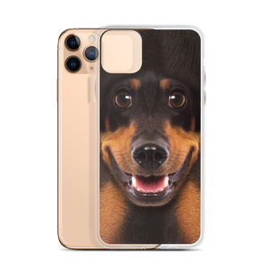 Dachshund Dog iPhone Case by Design Express