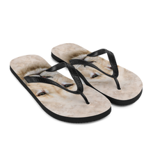 White Lion Flip-Flops by Design Express