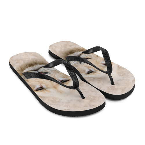 White Lion Flip-Flops by Design Express