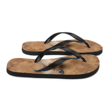 British Cat Flip-Flops by Design Express