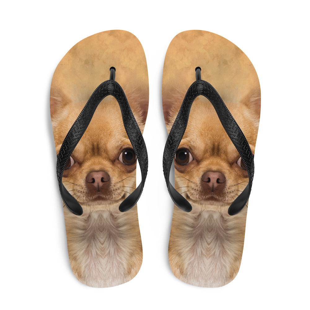 Dog flip flop hotsell