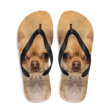 Chihuahua Dog Flip-Flops by Design Express