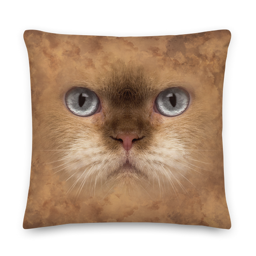 22×22 British Cat Premium Pillow by Design Express