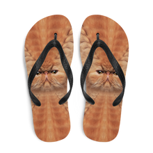 Persian Cat Flip-Flops by Design Express