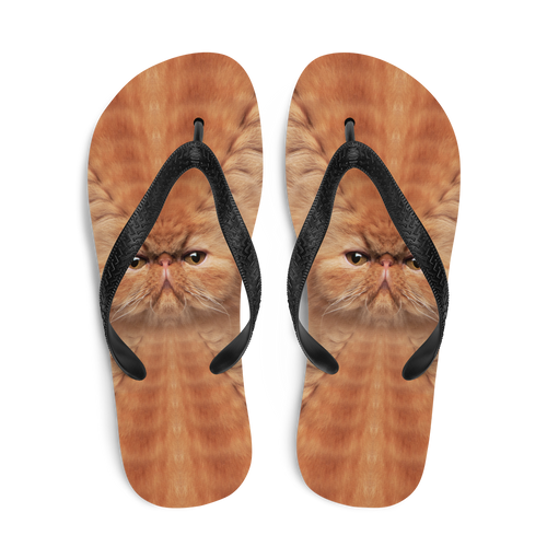 Persian Cat Flip-Flops by Design Express