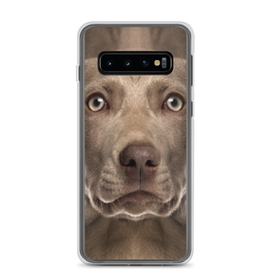 Samsung Galaxy S10 Weimaraner Dog Samsung Case by Design Express