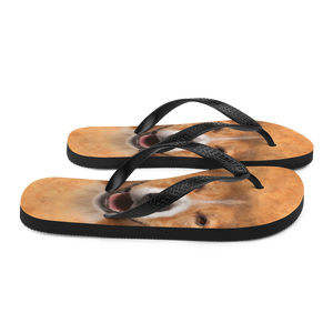 Border Collie Dog Flip-Flops by Design Express