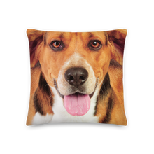 18×18 Beagle Dog Premium Pillow by Design Express