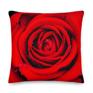 Fresh Red Rose Square Premium Pillow by Design Express