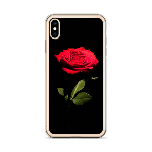 Red Rose on Black iPhone Case by Design Express