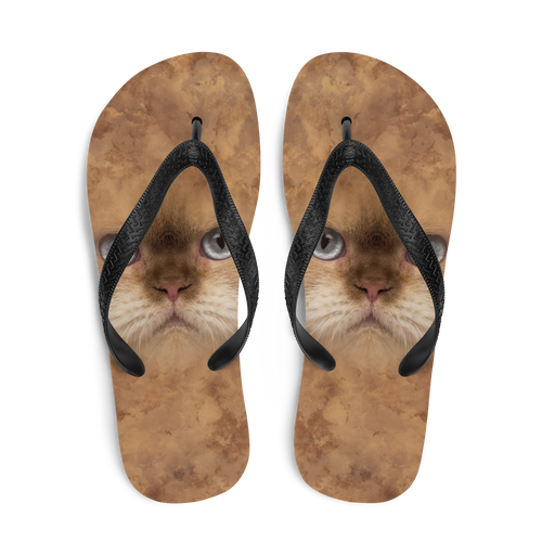 British Cat Flip-Flops by Design Express