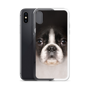 Boston Terrier Dog iPhone Case by Design Express