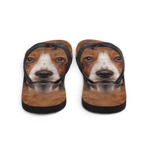 Basset Hound Dog Flip-Flops by Design Express